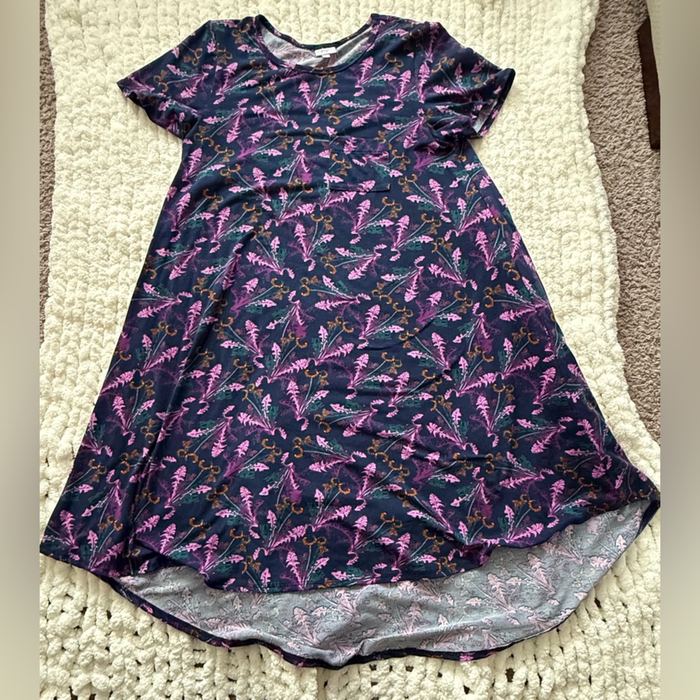 LuLaRoe Multicolor Floral Dress